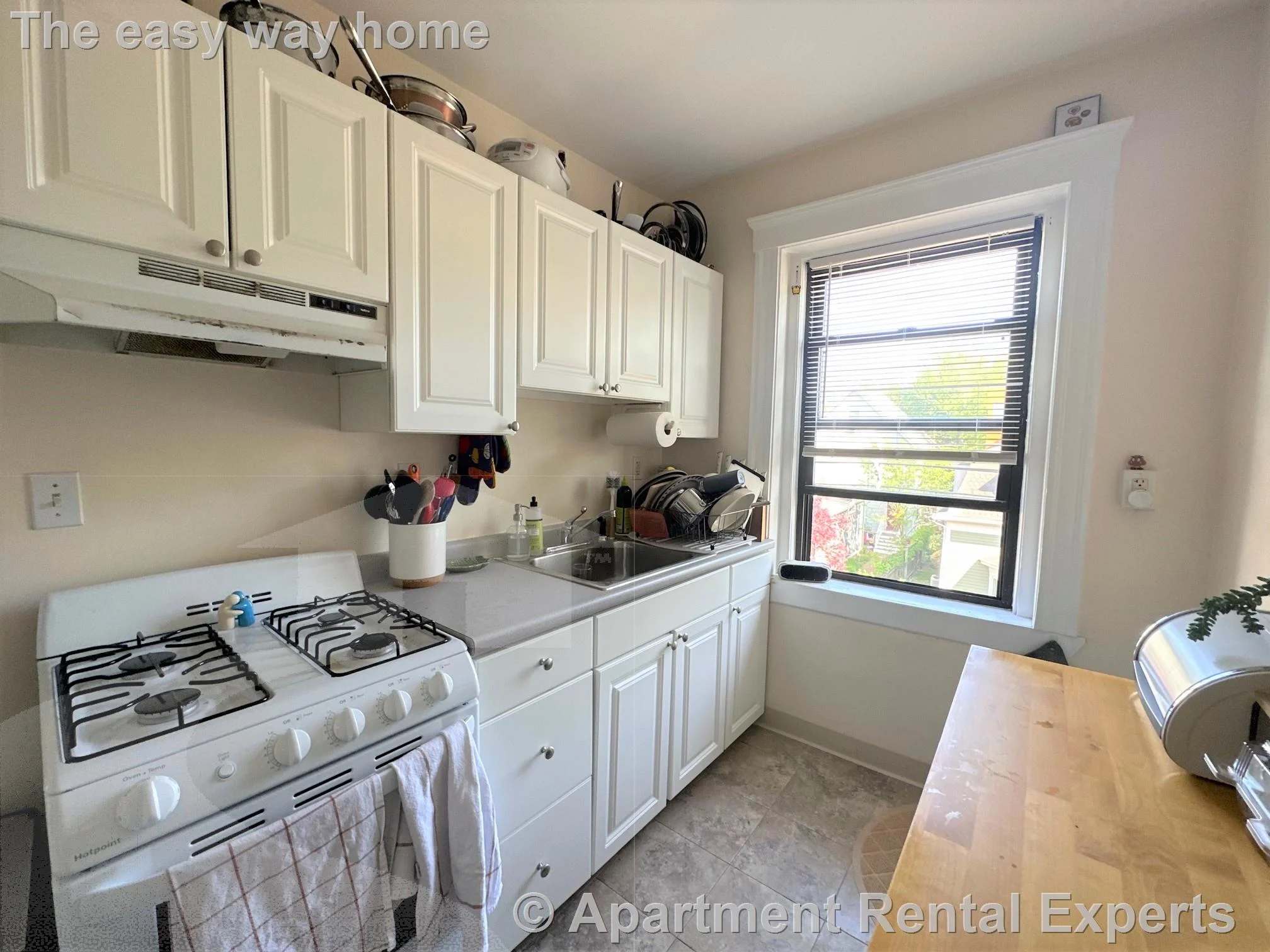 1 bed, 1 bath apartment for rent at 41 Ivaloo St Unit 8, Porter Square — photo 12 of 15
