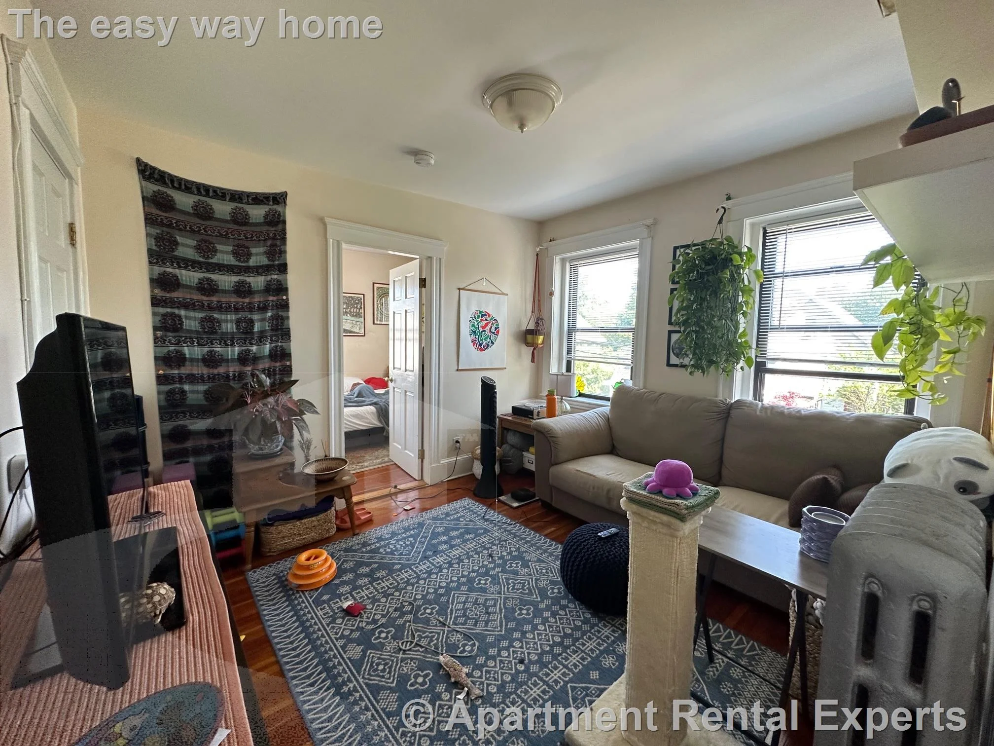 1 bed, 1 bath apartment for rent at 41 Ivaloo St Unit 8, Porter Square — photo 10 of 15