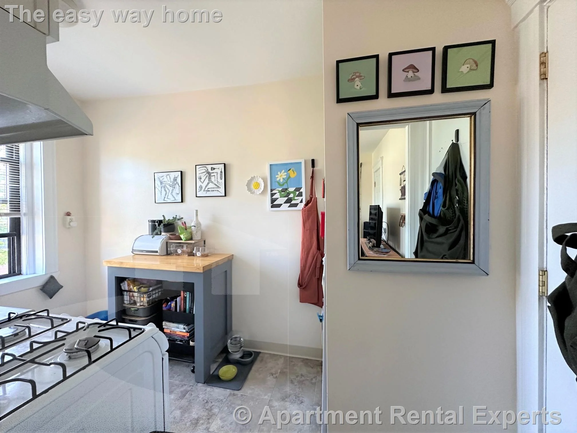 1 bed, 1 bath apartment for rent at 41 Ivaloo St Unit 8, Porter Square — photo 8 of 15