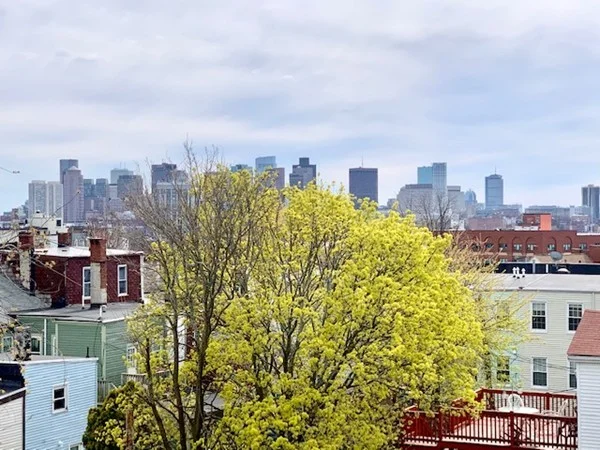 1 bed, 1 bath apartment for rent at 41 Monmouth St Unit 3, East Boston — photo 10 of 17
