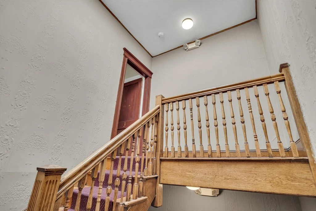5 bed, 2 bath apartment for rent at 41 Orkney Rd Unit 3, Brighton — photo 5 of 21