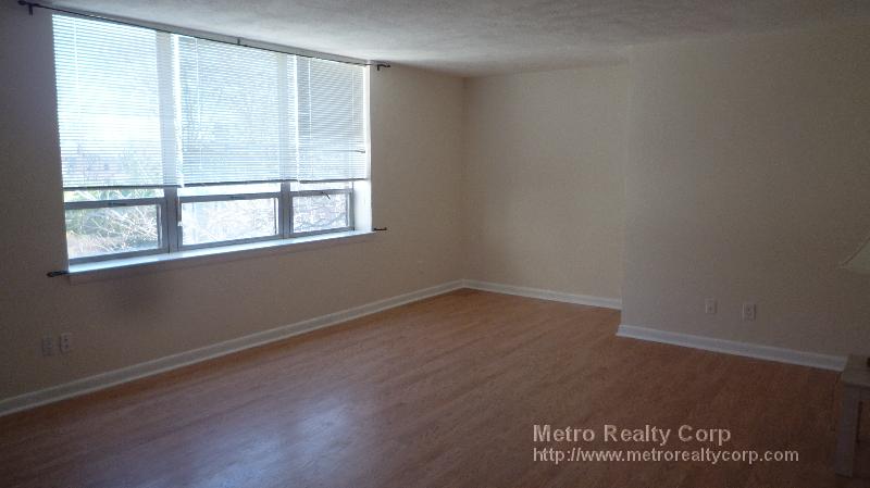 Studio bed, 1 bath apartment for rent at 41 Park St Unit 401, Coolidge Corner — photo 2 of 5