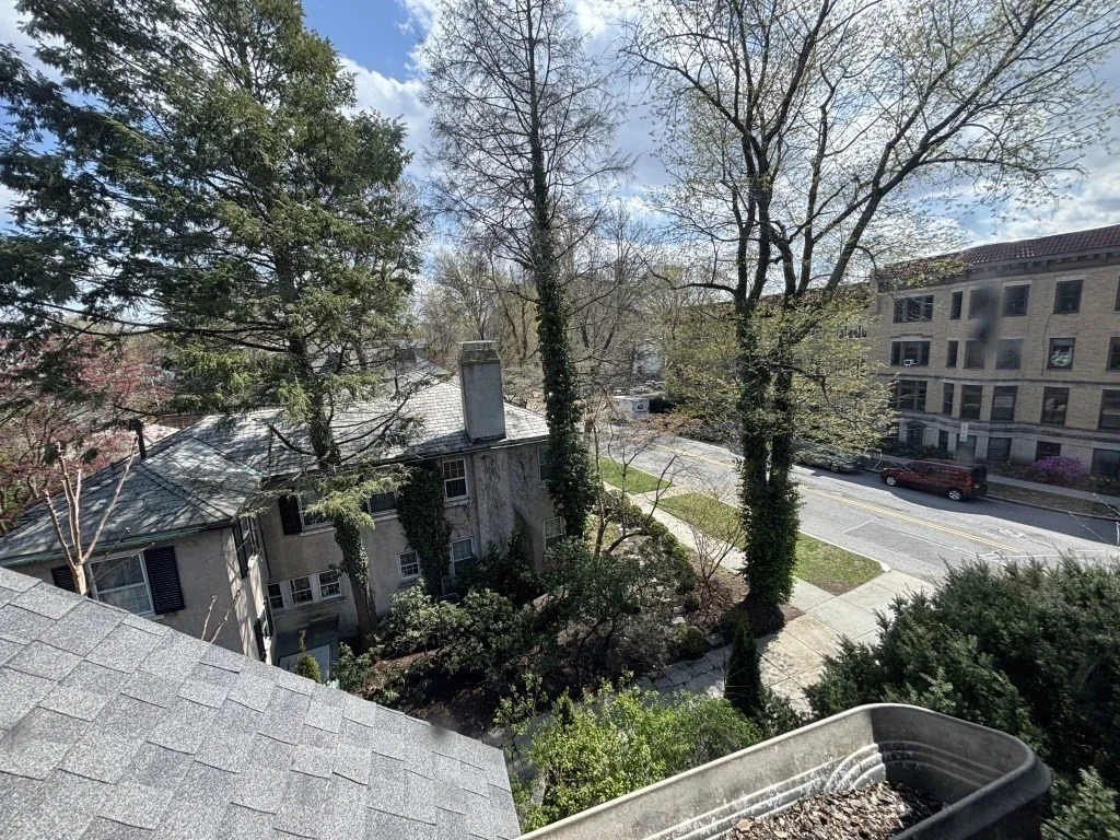 1 bed, 1 bath apartment for rent at 41 Powell St Unit Upper, Brookline — photo 13 of 14