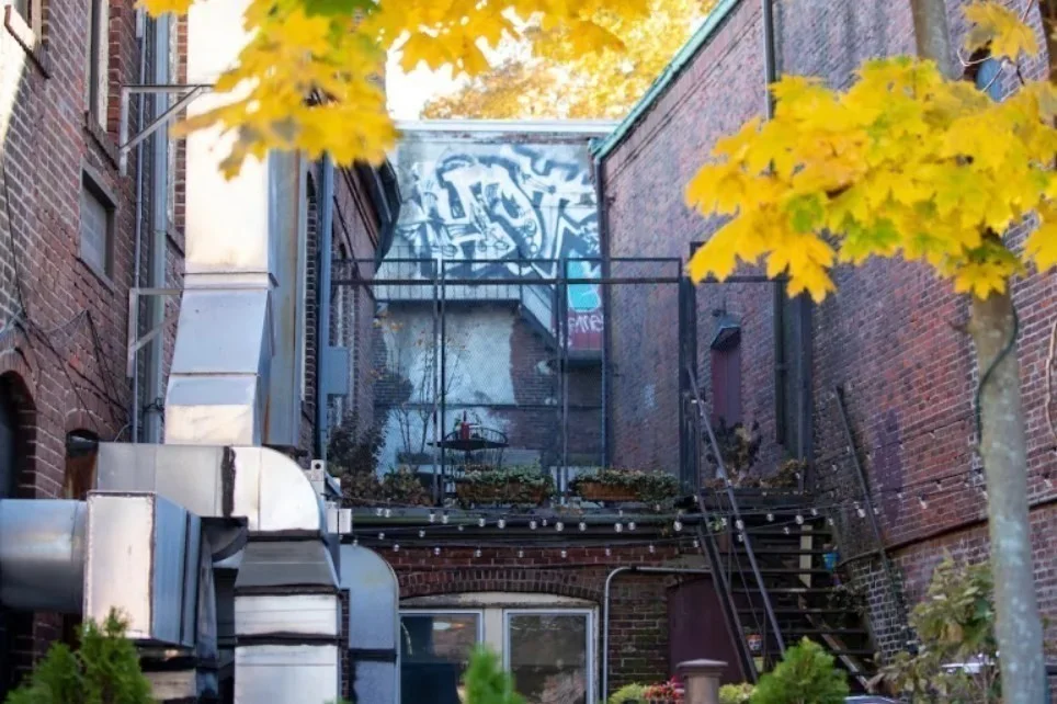 2 bed, 1 bath apartment for rent at 41 West St Unit 3, Hyde Park — photo 20 of 23