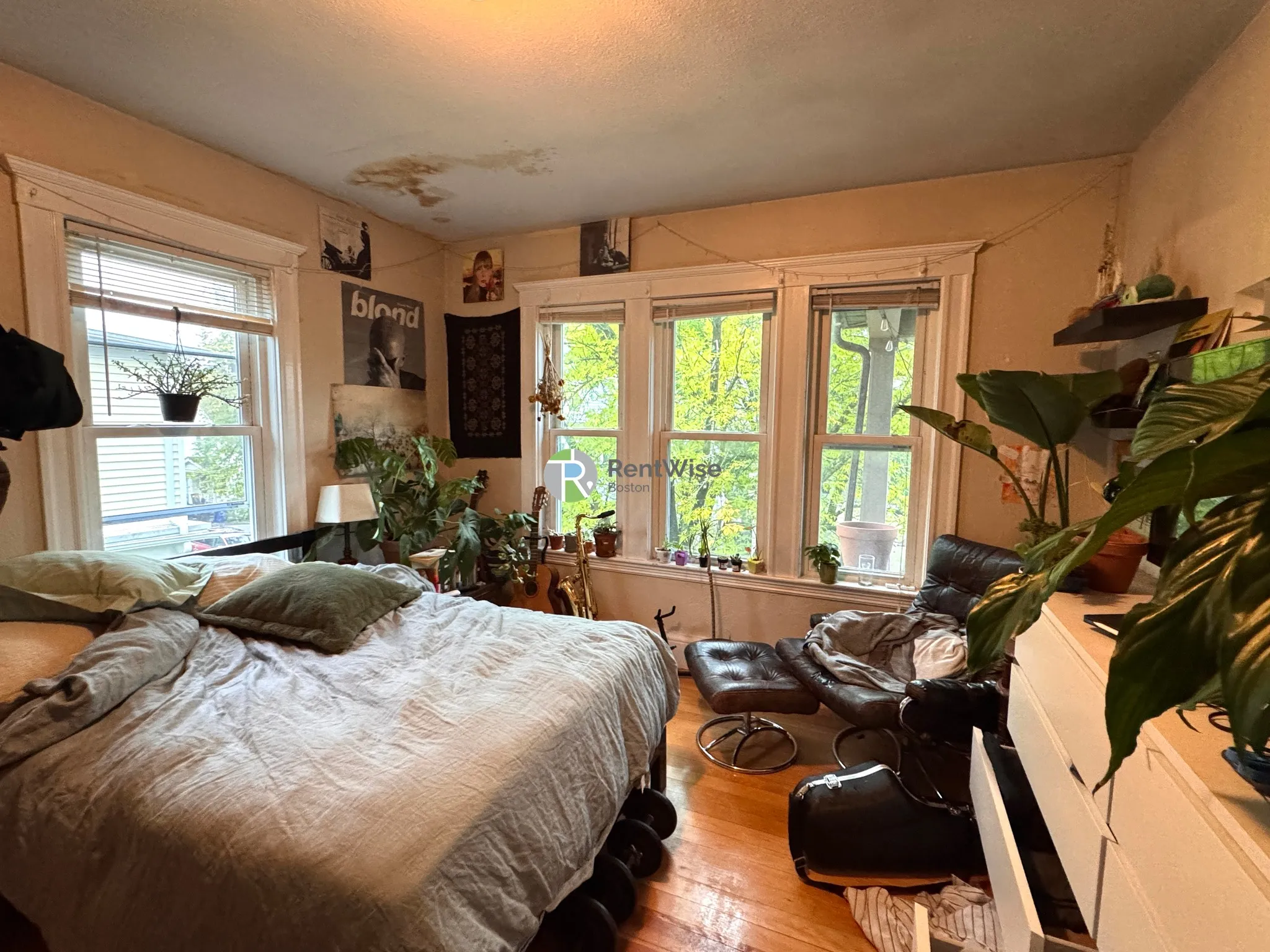 6 bed, 2 bath apartment for rent at 41 Whitfield Rd Unit 1, Tufts — photo 9 of 22