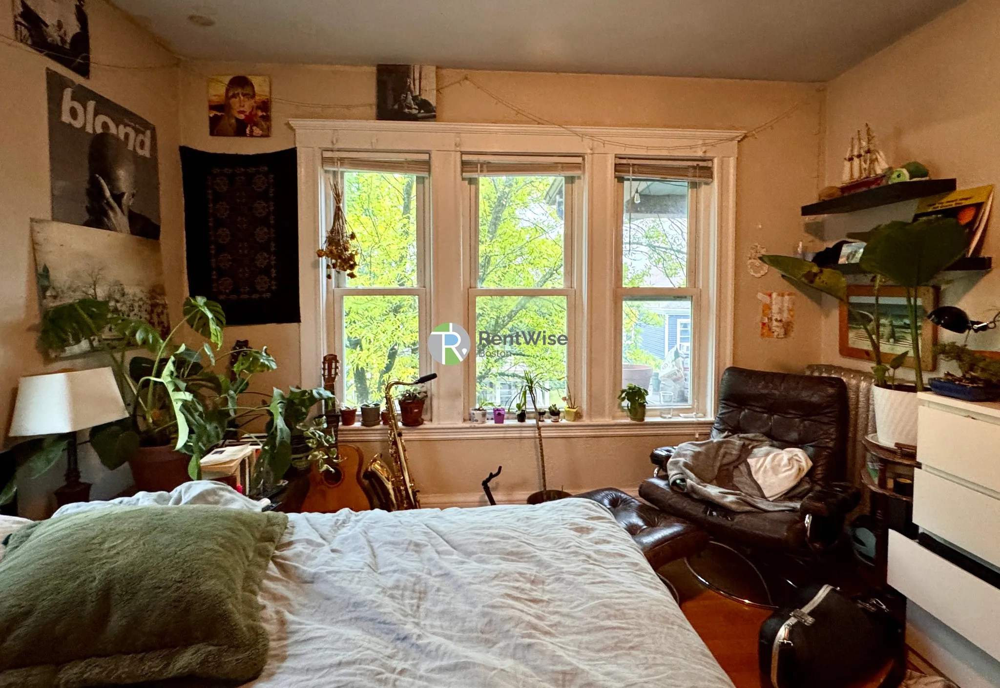 6 bed, 2 bath apartment for rent at 41 Whitfield Rd Unit 1, Tufts — photo 10 of 22
