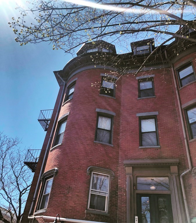 1 bed, 1 bath apartment for rent at 41 Worcester Sq Unit 3, South End — photo 19 of 31