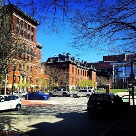 1 bed, 1 bath apartment for rent at 41 Worcester Sq Unit 3, South End — photo 17 of 31