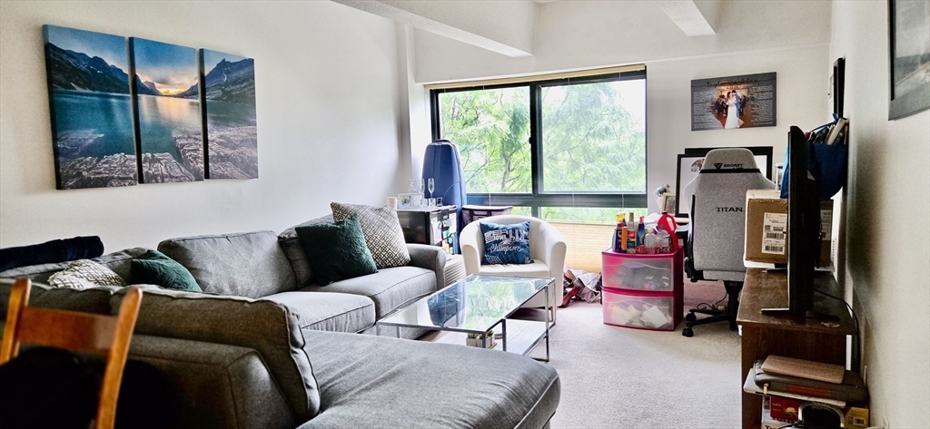 1 bed, 1 bath apartment for rent at 42 8th Unit 3414, Charlestown — photo 1 of 16