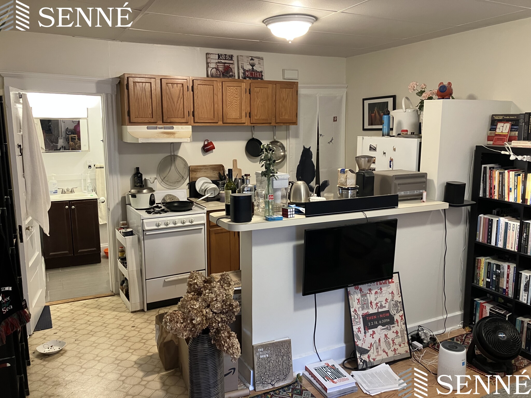 2 bed, 1 bath apartment for rent at 42A Linden Ave Unit 1, Spring Hill — photo 1 of 10