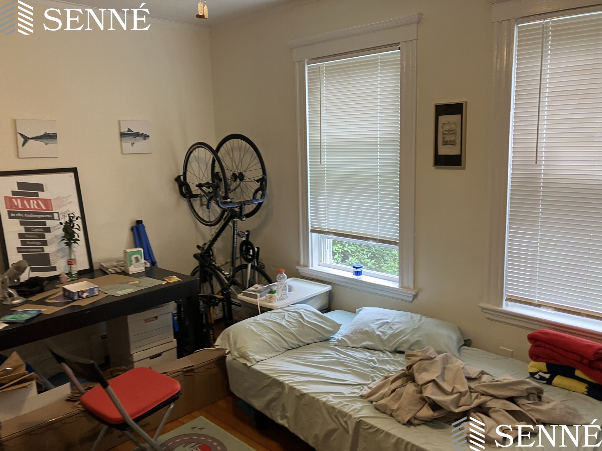 2 bed, 1 bath apartment for rent at 42A Linden Ave Unit 1, Spring Hill — photo 2 of 10
