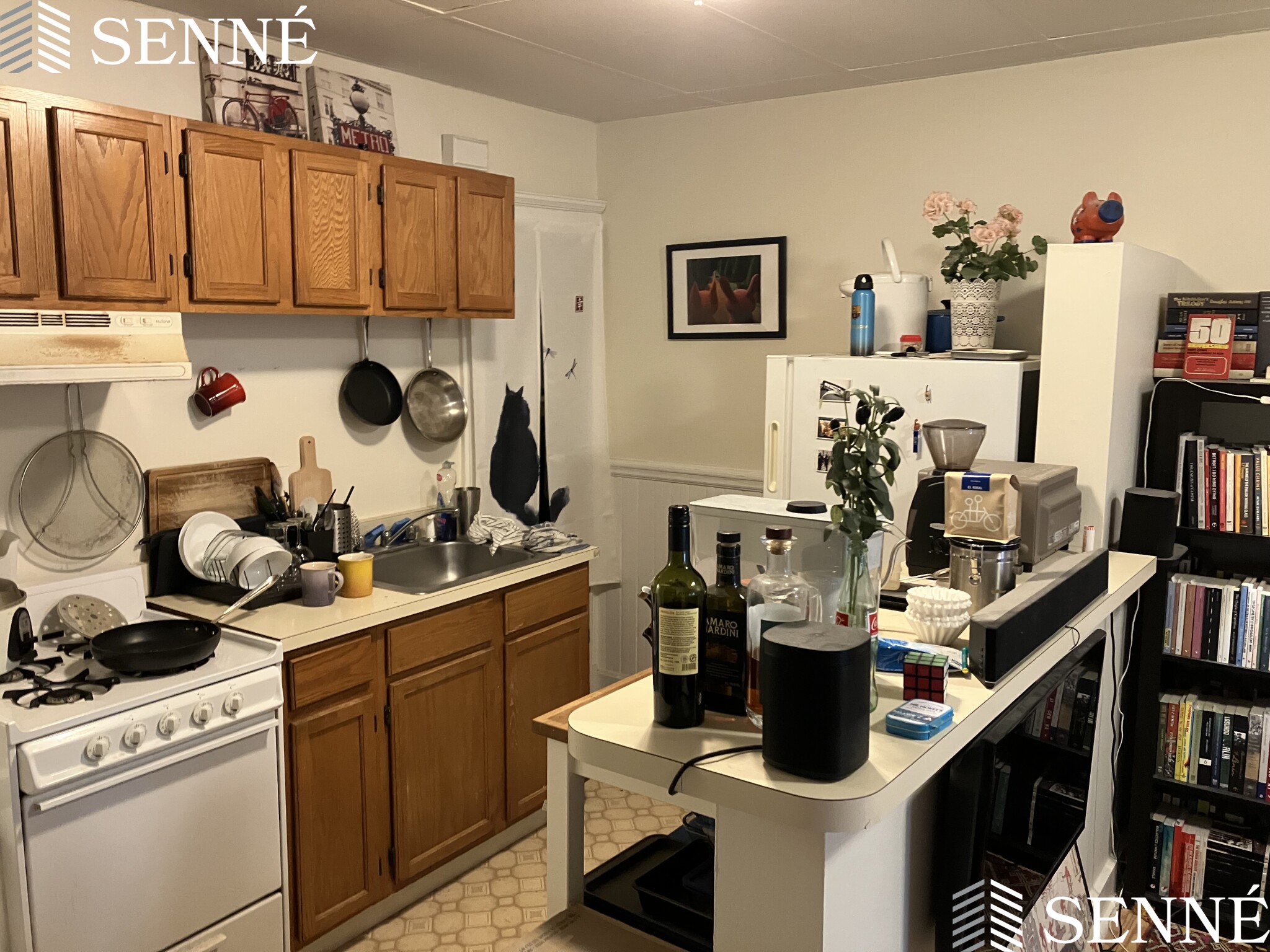 2 bed, 1 bath apartment for rent at 42A Linden Ave Unit 1, Spring Hill — photo 3 of 10
