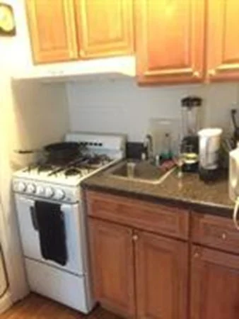 1 bed, 1 bath apartment for rent at 42 Dean Rd Unit 1, Brookline — photo 4 of 7