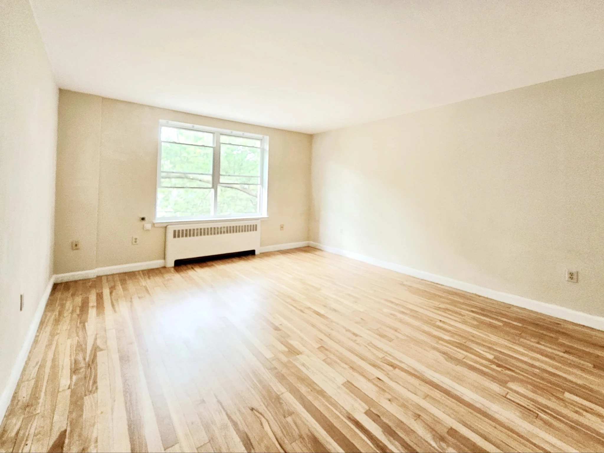 1 bed, 1 bath apartment for rent at 42 Dean Rd Unit 5, Brookline Hills — photo 2 of 4
