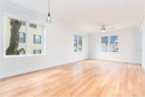 3 bed, 2 bath apartment for rent at 42 Dennis St Unit 2, Roxbury — photo 21 of 35