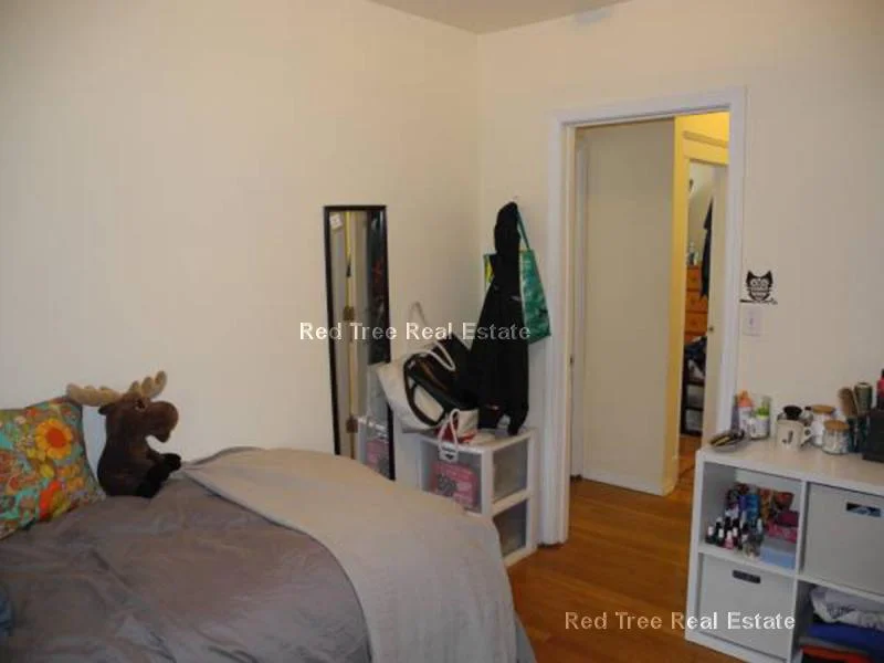 5 bed, 2 bath apartment for rent at 42 Kirkwood Rd Unit 1, Brighton — photo 8 of 17