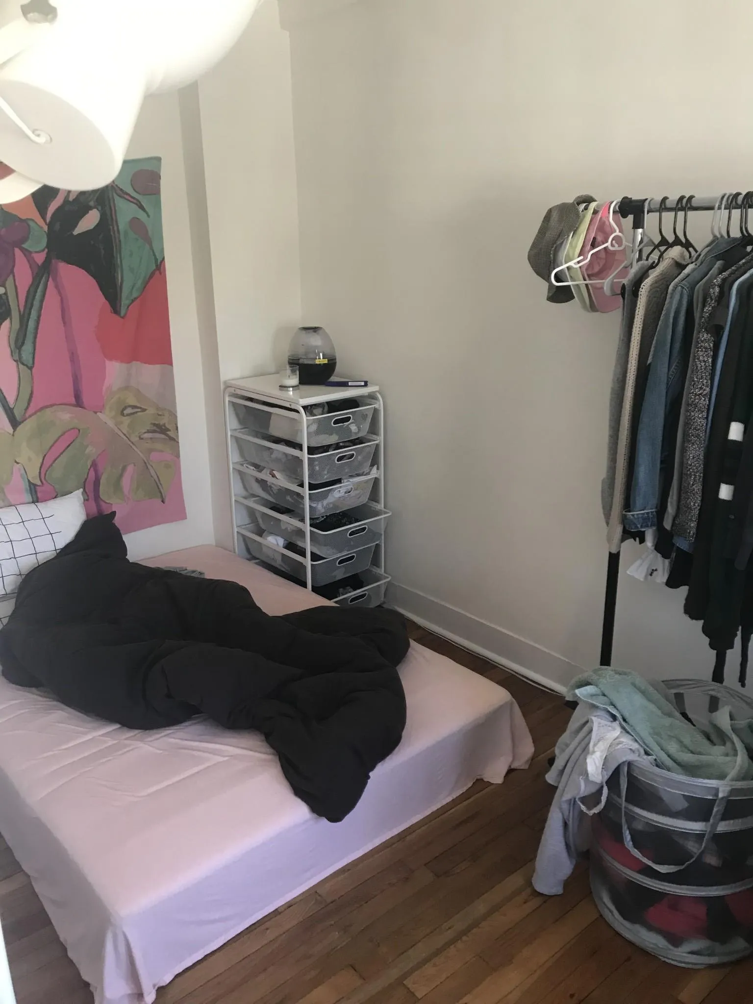 1 bed, 1 bath apartment for rent at 42 Langdon St Unit 3, Neighborhood Nine — photo 4 of 8