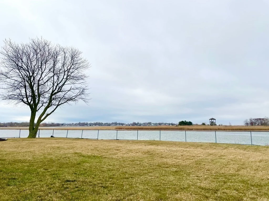 2 bed, 1 bath apartment for rent at 42 Orchard St Unit 1, Beachmont — photo 11 of 13