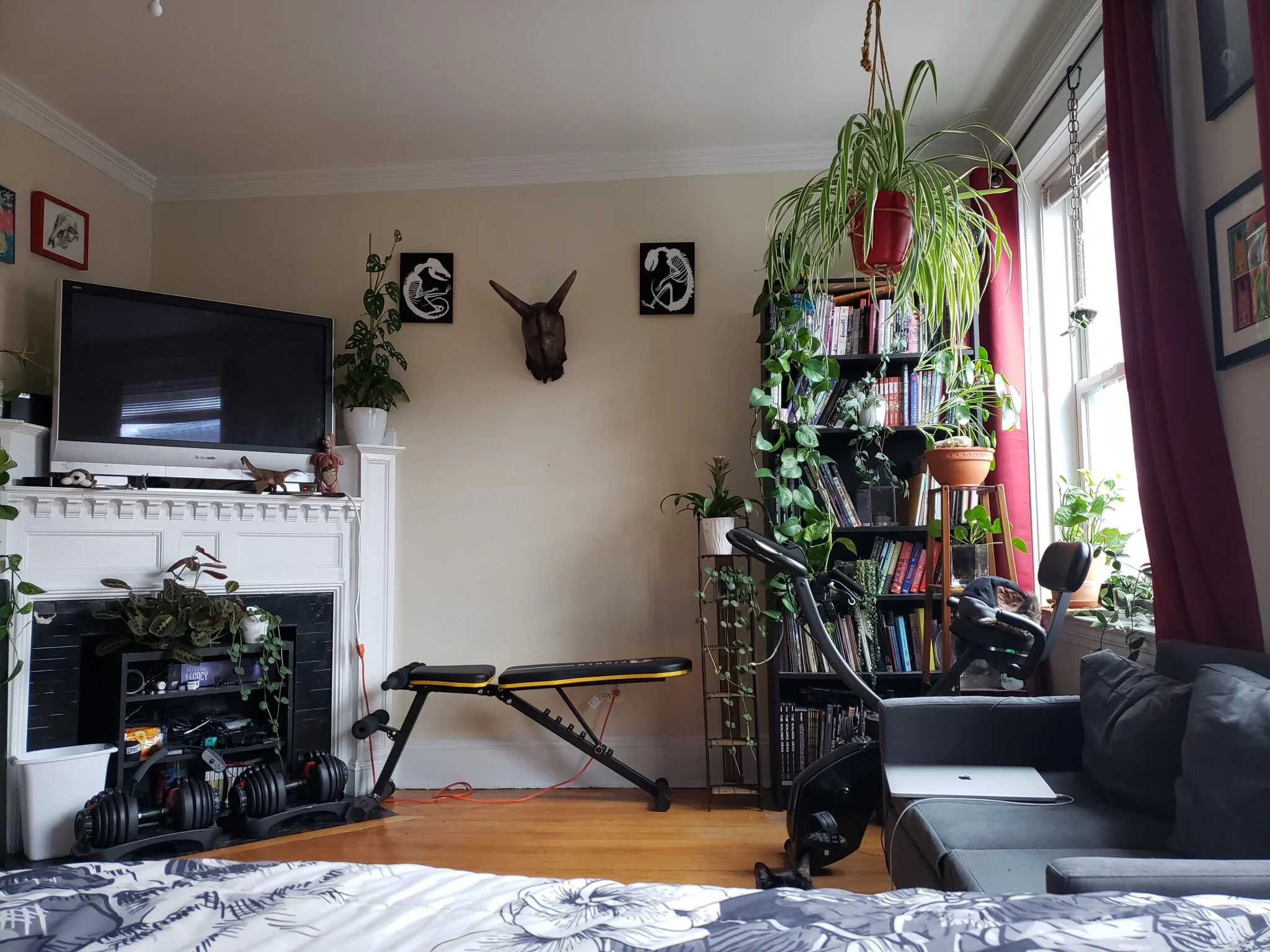 4 bed, 2 bath apartment for rent at 42 Park Vale Ave Unit 3, Brighton — photo 9 of 20