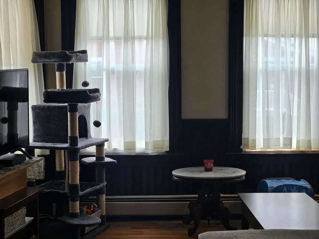 2 bed, 1 bath apartment for rent at 42 Sumner St Unit 1, Marlborough — photo 16 of 17