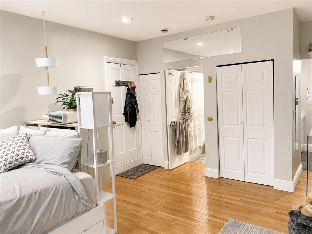 Studio bed, 1 bath apartment for rent at 42 W Newton St Unit 3B, South End — photo 7 of 16