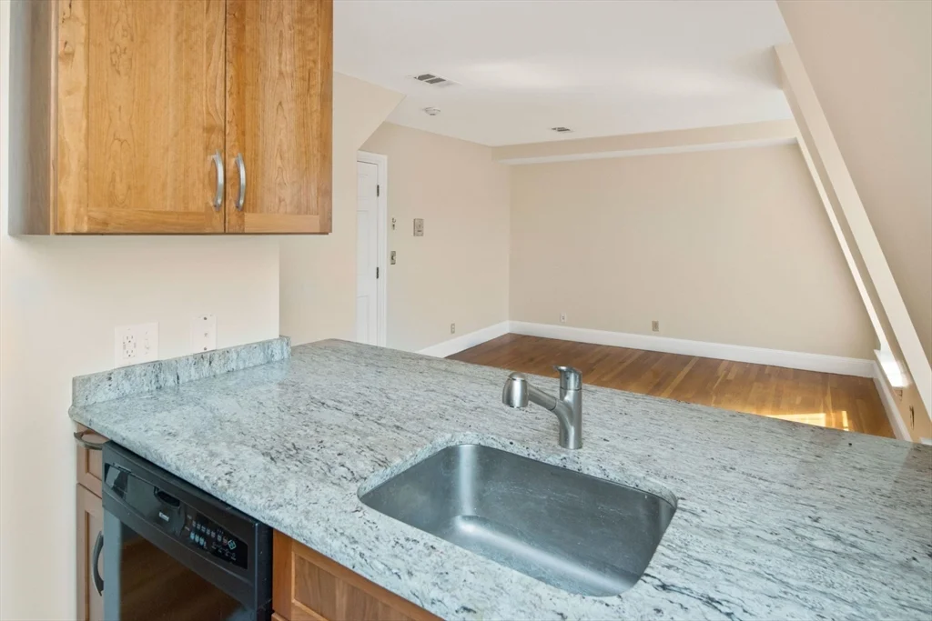 1 bed, 1 bath apartment for rent at 42 W Newton St Unit A26, South End — photo 4 of 20