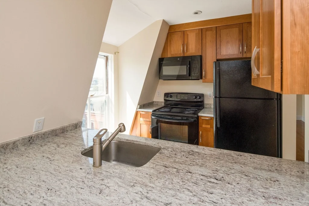 1 bed, 1 bath apartment for rent at 42 W Newton St Unit A26, South End — photo 2 of 20