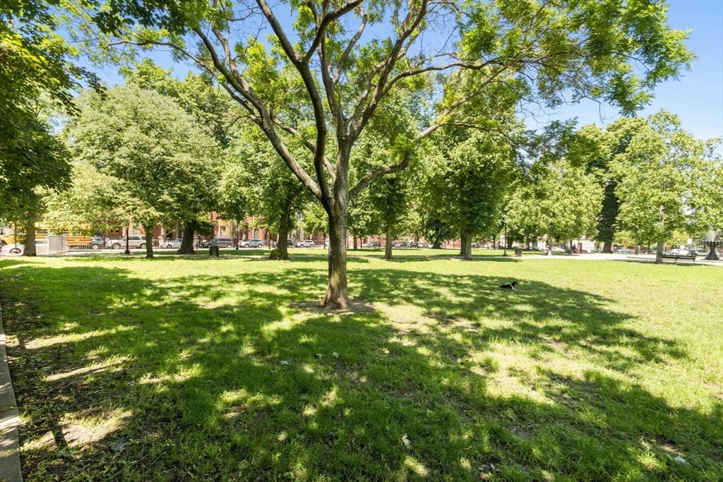 1 bed, 1 bath apartment for rent at 42 W Newton St Unit A26, South End — photo 20 of 20