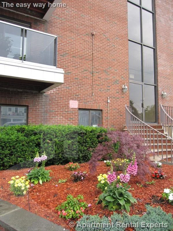 1 bed, 1 bath apartment for rent at 425 Broadway Unit 7, Winter Hill — photo 10 of 13