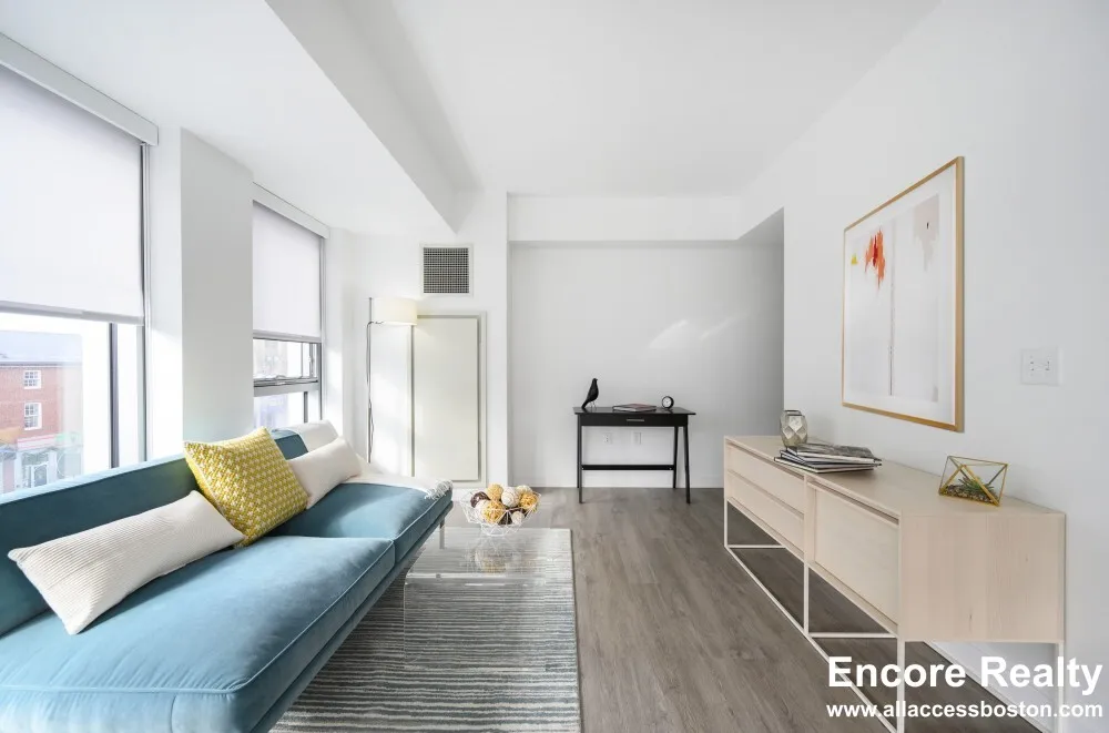 Studio bed, 1 bath apartment for rent at 425 Massachusetts Ave Unit B3, Central Square — photo 2 of 27