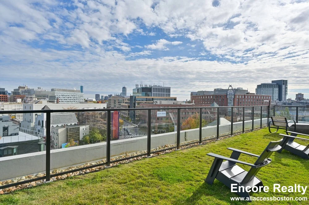 Studio bed, 1 bath apartment for rent at 425 Massachusetts Ave Unit B3, Central Square — photo 26 of 27