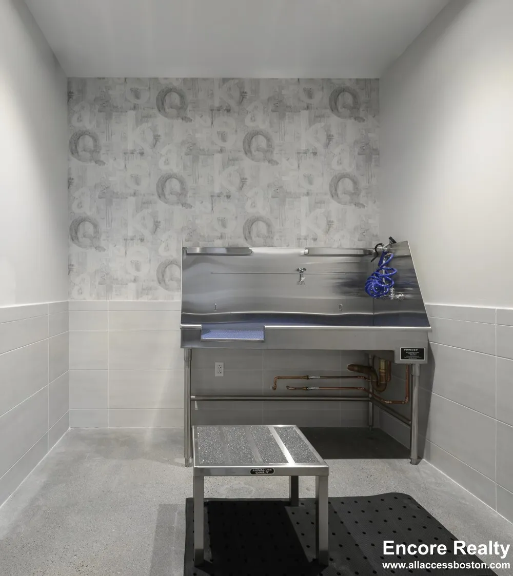 Studio bed, 1 bath apartment for rent at 425 Massachusetts Ave Unit B3, Central Square — photo 24 of 27