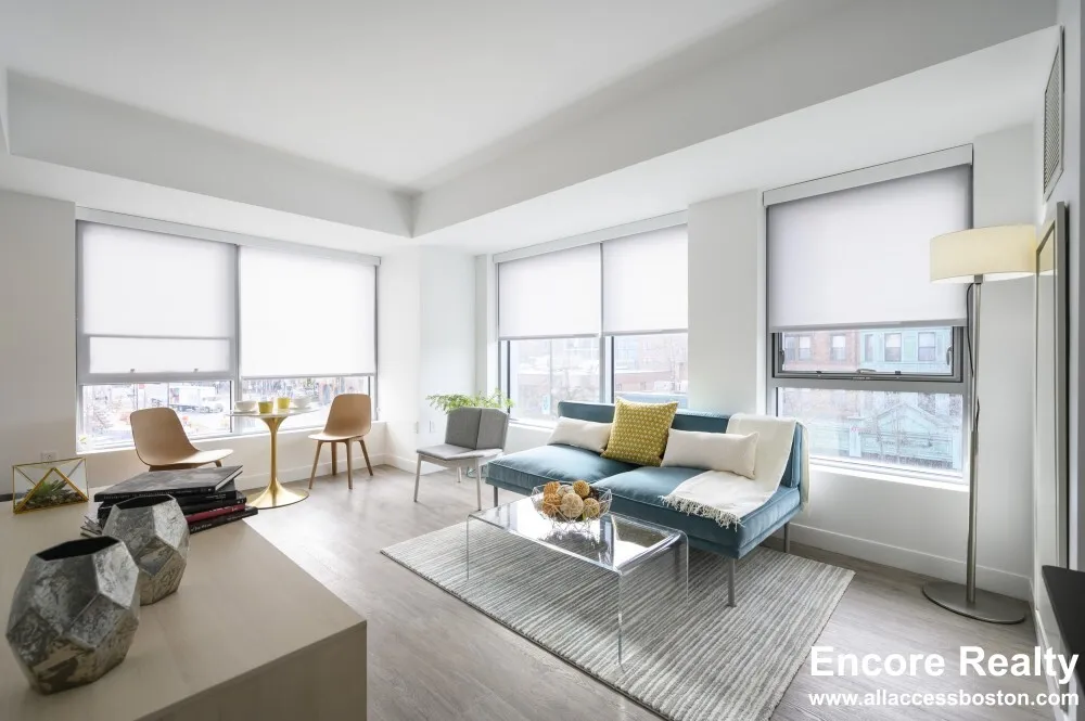 Studio bed, 1 bath apartment for rent at 425 Massachusetts Ave Unit B3, Central Square — photo 1 of 27