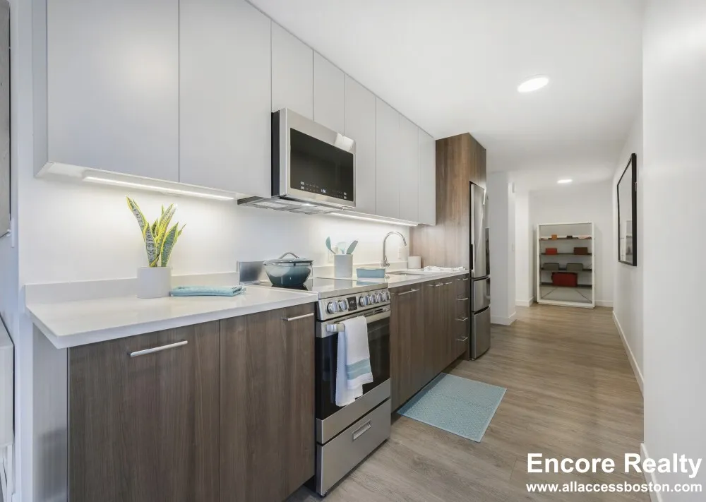 Studio bed, 1 bath apartment for rent at 425 Massachusetts Ave Unit B3, Central Square — photo 4 of 27