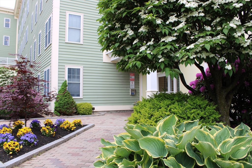2 bed, 2 bath apartment for rent at 426 Main Unit 203, Stoneham — photo 17 of 19