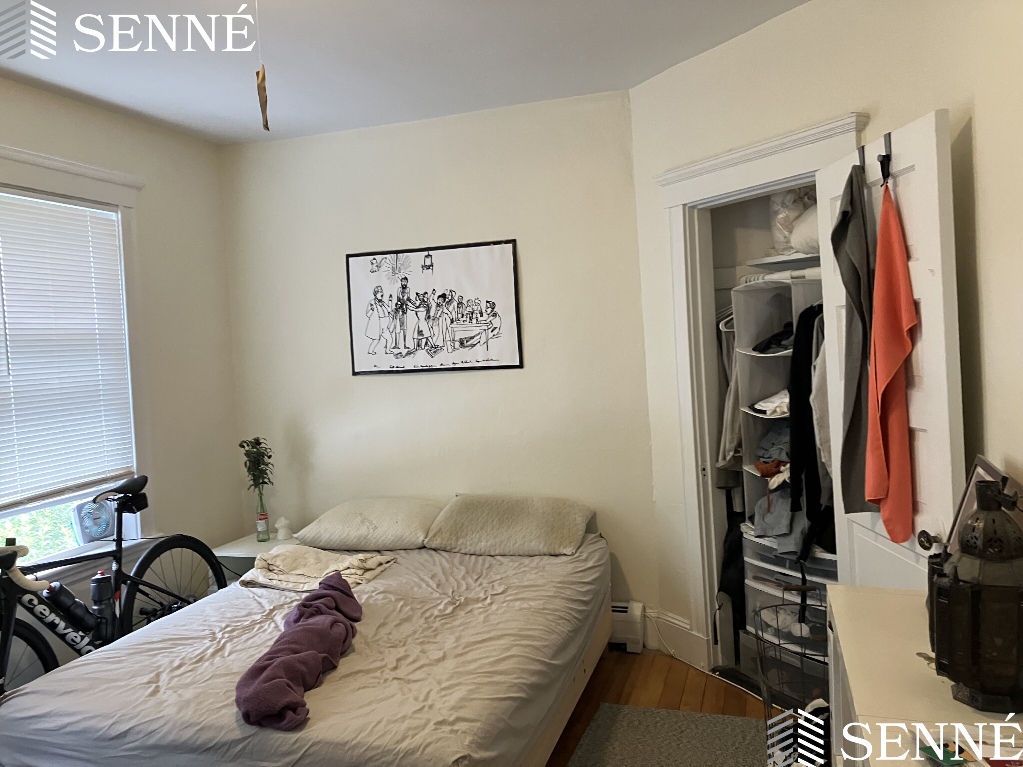 2 bed, 1 bath apartment for rent at 42A Linden Ave Unit 1, Spring Hill — photo 7 of 10