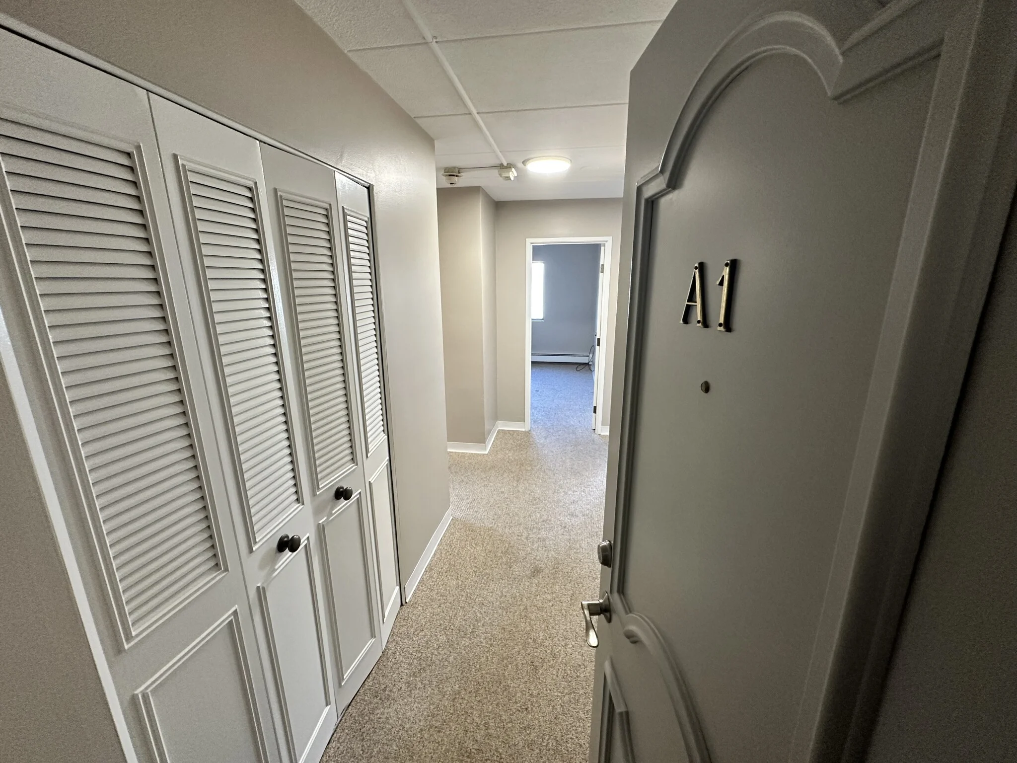 2 bed, 1 bath apartment for rent at 43-51 Albion St Unit A1, Melrose — photo 1 of 36