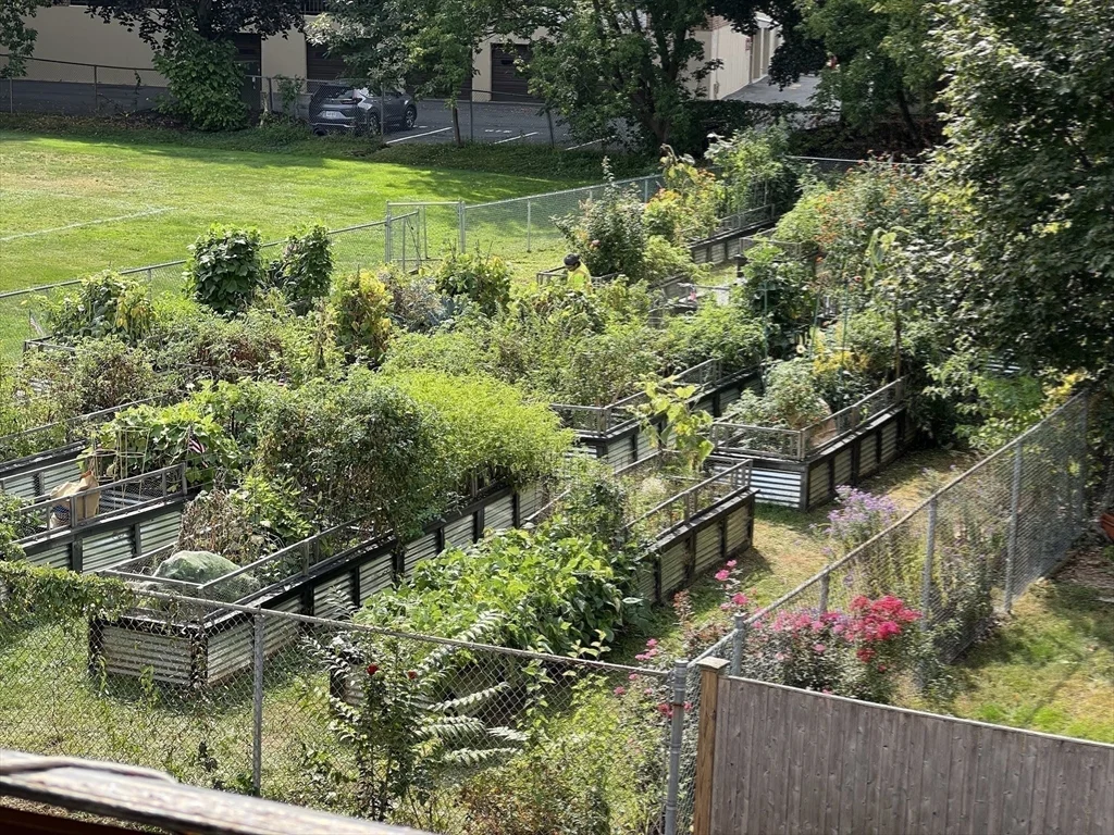 2 bed, 1 bath apartment for rent at 43-51 Albion St Unit B7, Melrose Highlands — photo 19 of 21