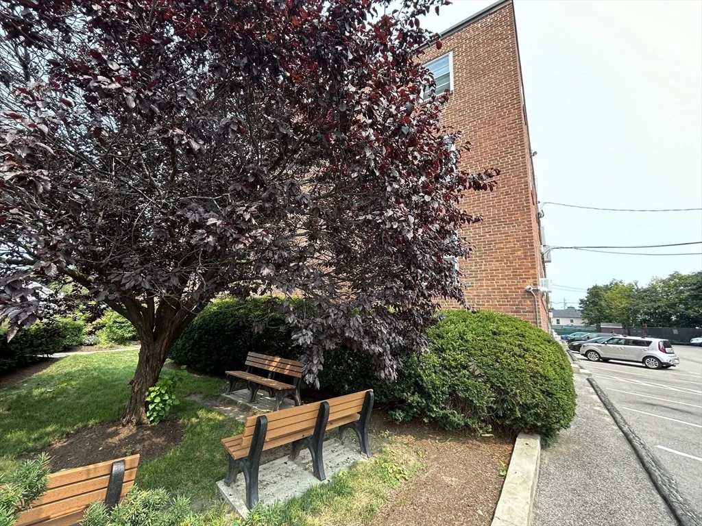 2 bed, 1 bath apartment for rent at 43 Colborne Rd Unit B2, Boston — photo 14 of 14