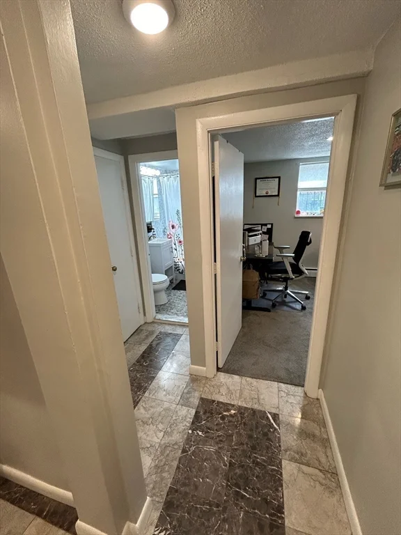 2 bed, 1 bath apartment for rent at 43 Colborne Rd Unit B2, Boston — photo 11 of 14