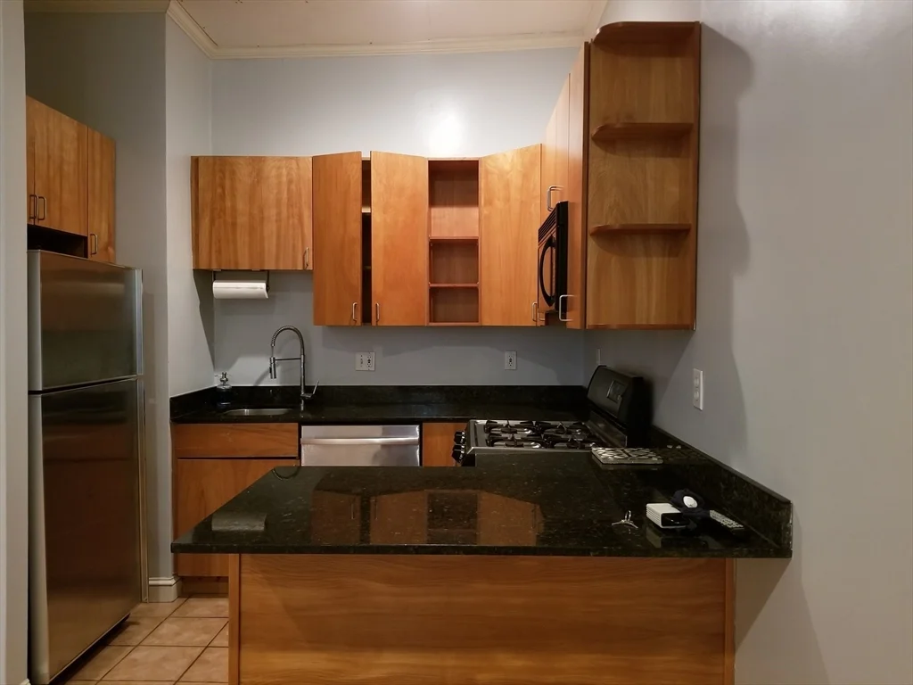 1 bed, 1 bath apartment for rent at 43 E Springfield Unit 03, South End — photo 5 of 11