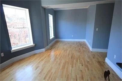 1 bed, 1 bath apartment for rent at 43 E Springfield Unit 4, South End — photo 4 of 9