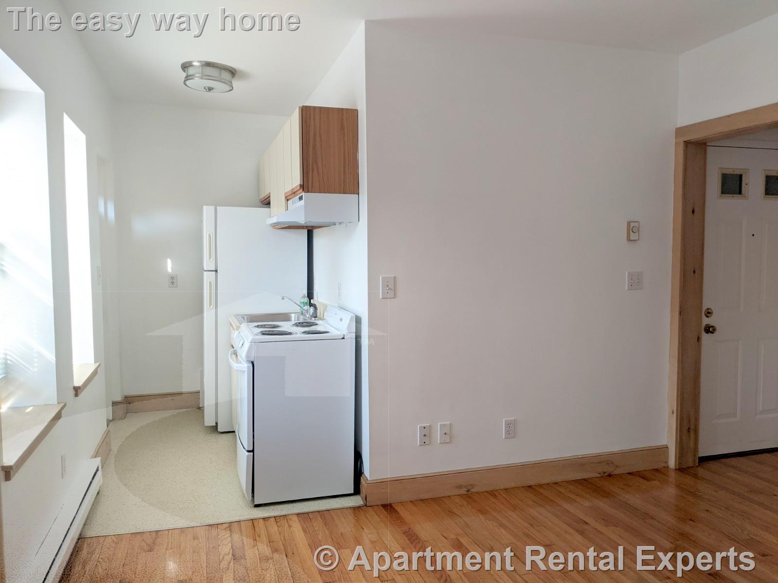 1 bed, 1 bath apartment for rent at 43 Ivaloo St Unit 2, Porter Square — photo 3 of 14