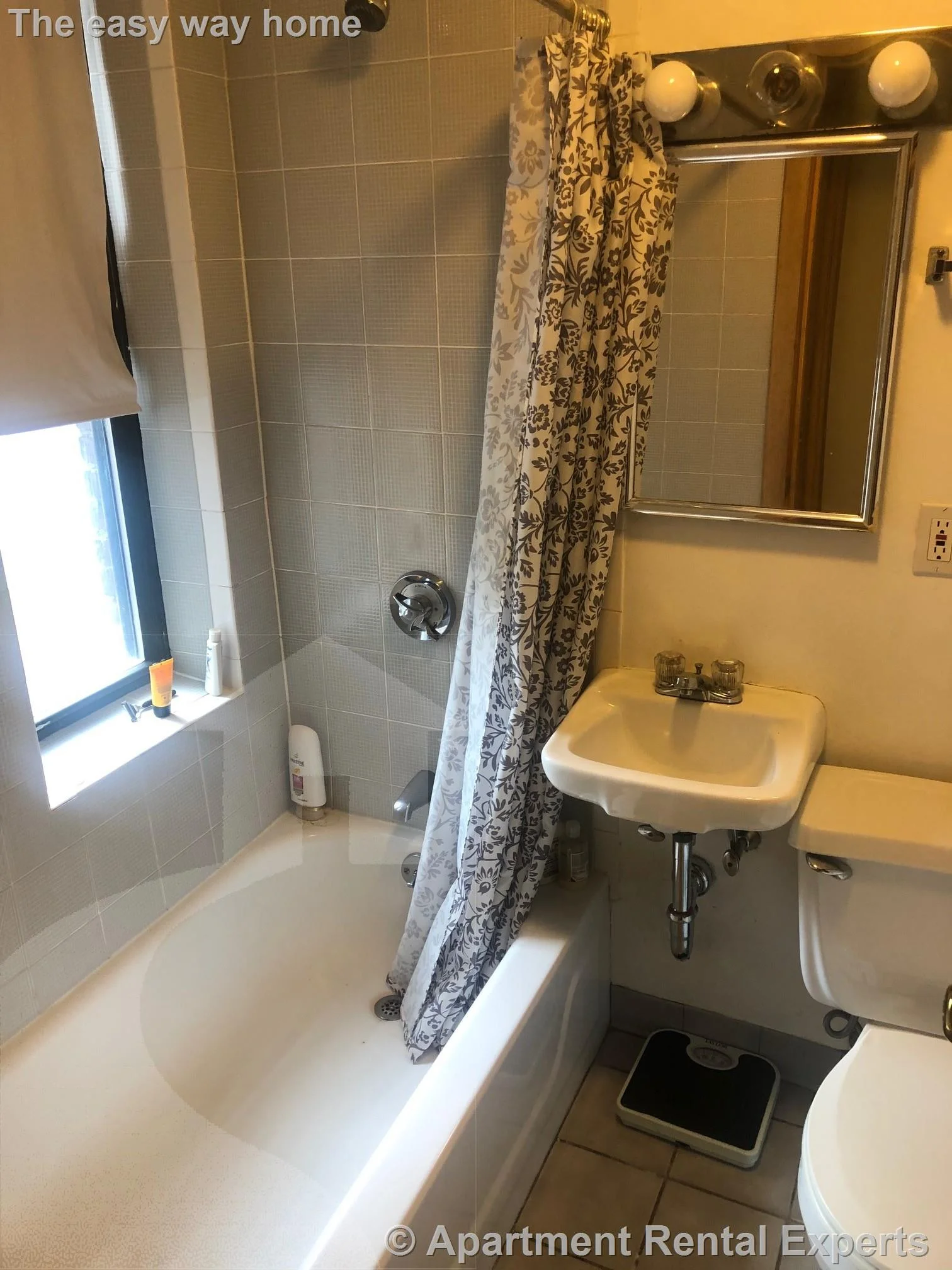 1 bed, 1 bath apartment for rent at 43 Ivaloo St Unit 5, Porter Square — photo 4 of 6