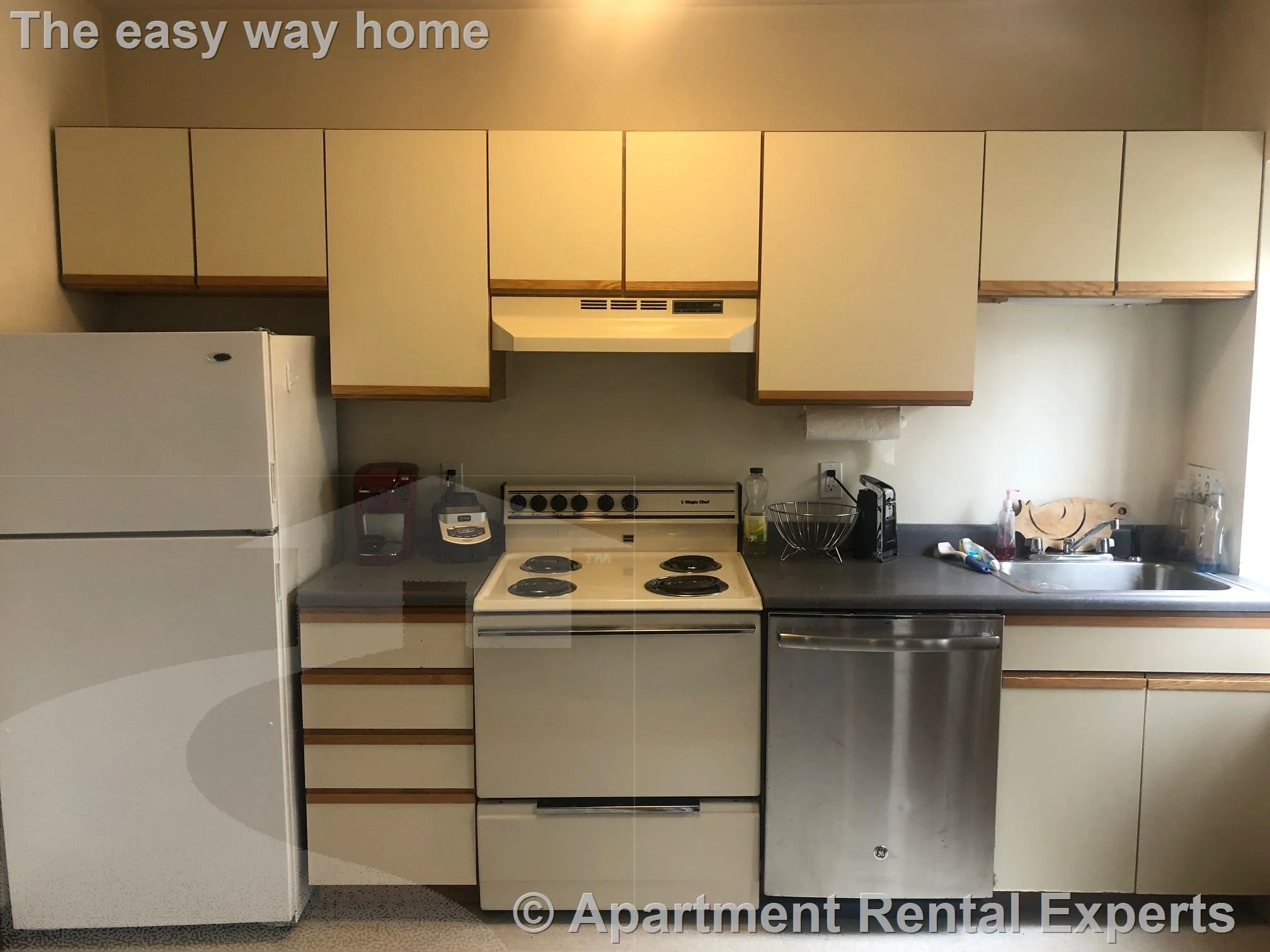 1 bed, 1 bath apartment for rent at 43 Ivaloo St Unit 5, Porter Square — photo 2 of 6