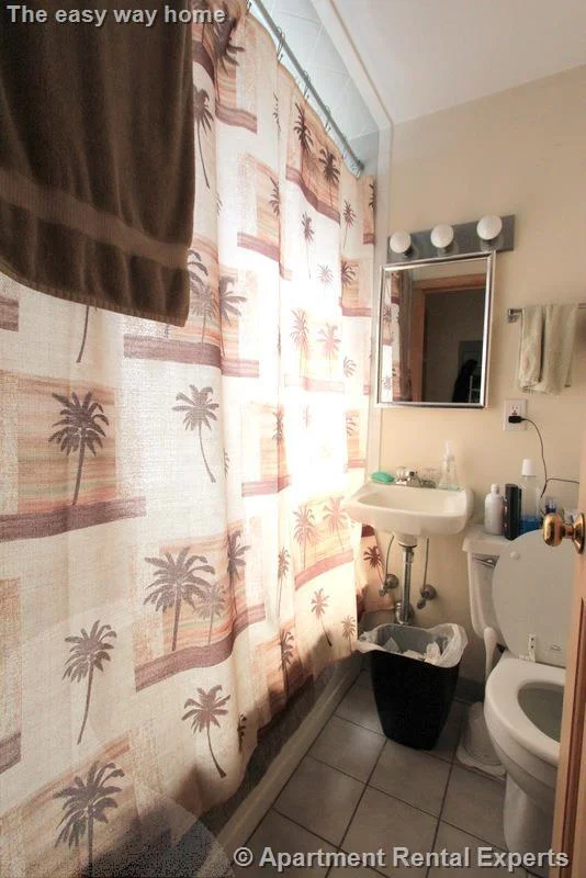 1 bed, 1 bath apartment for rent at 43 Ivaloo St Unit 8, Porter Square — photo 5 of 12
