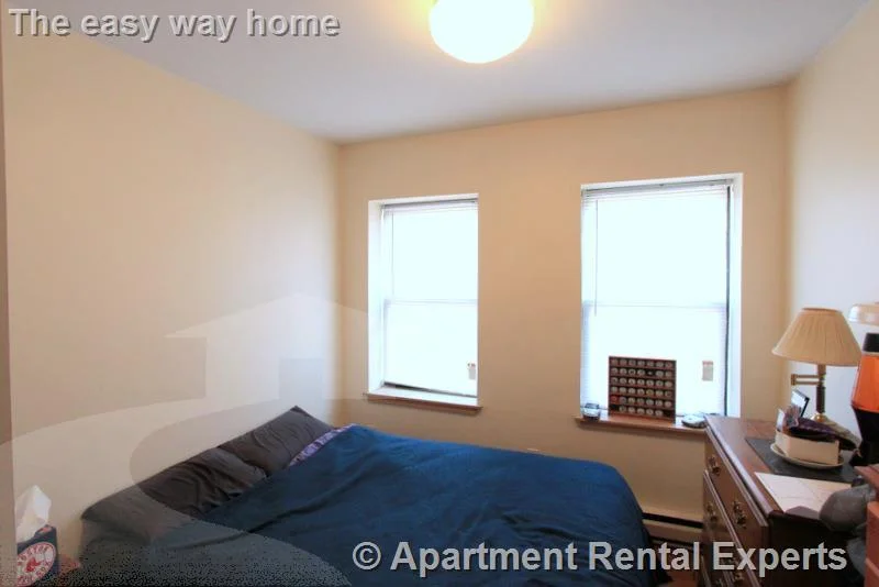 1 bed, 1 bath apartment for rent at 43 Ivaloo St Unit 8, Porter Square — photo 6 of 12