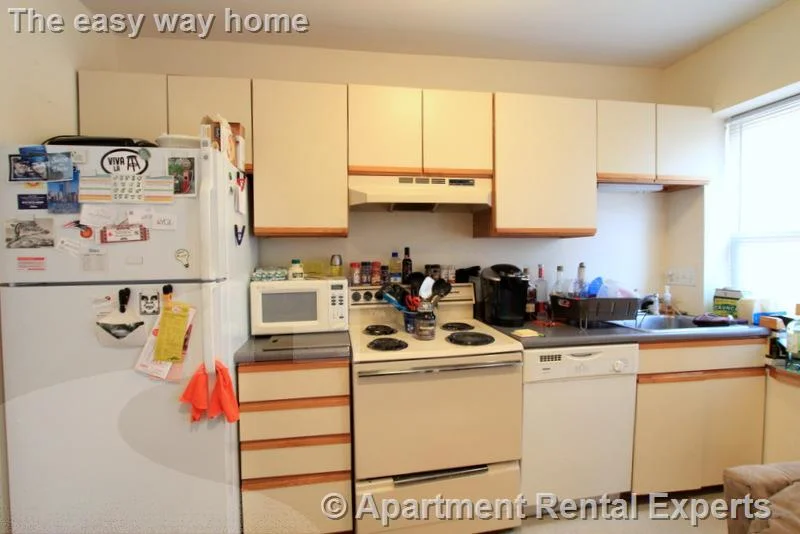 1 bed, 1 bath apartment for rent at 43 Ivaloo St Unit 8, Porter Square — photo 3 of 12