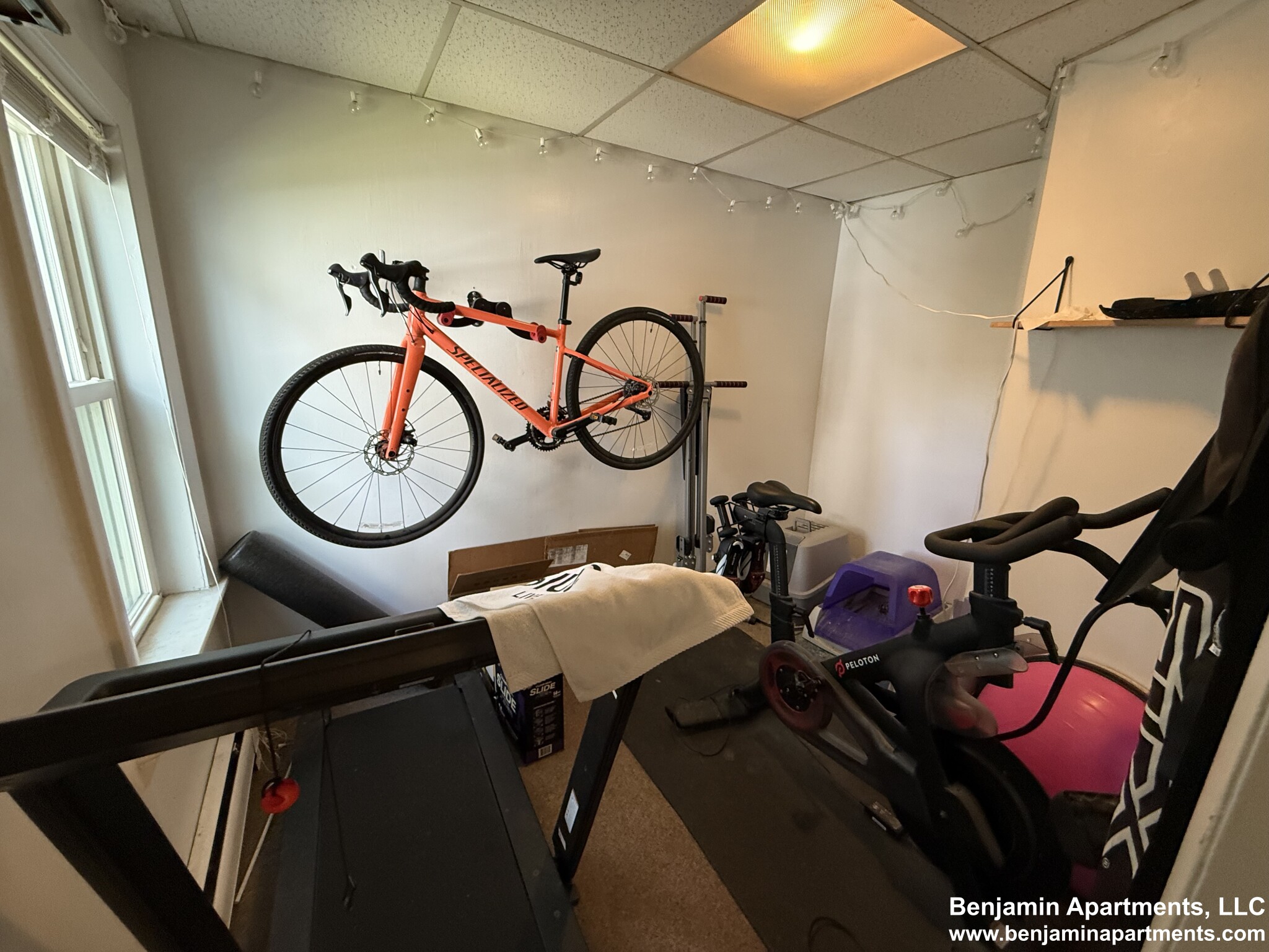 2 bed, 1 bath apartment for rent at 43 Lincoln St Unit 1, Wellington-Harrington — photo 15 of 20