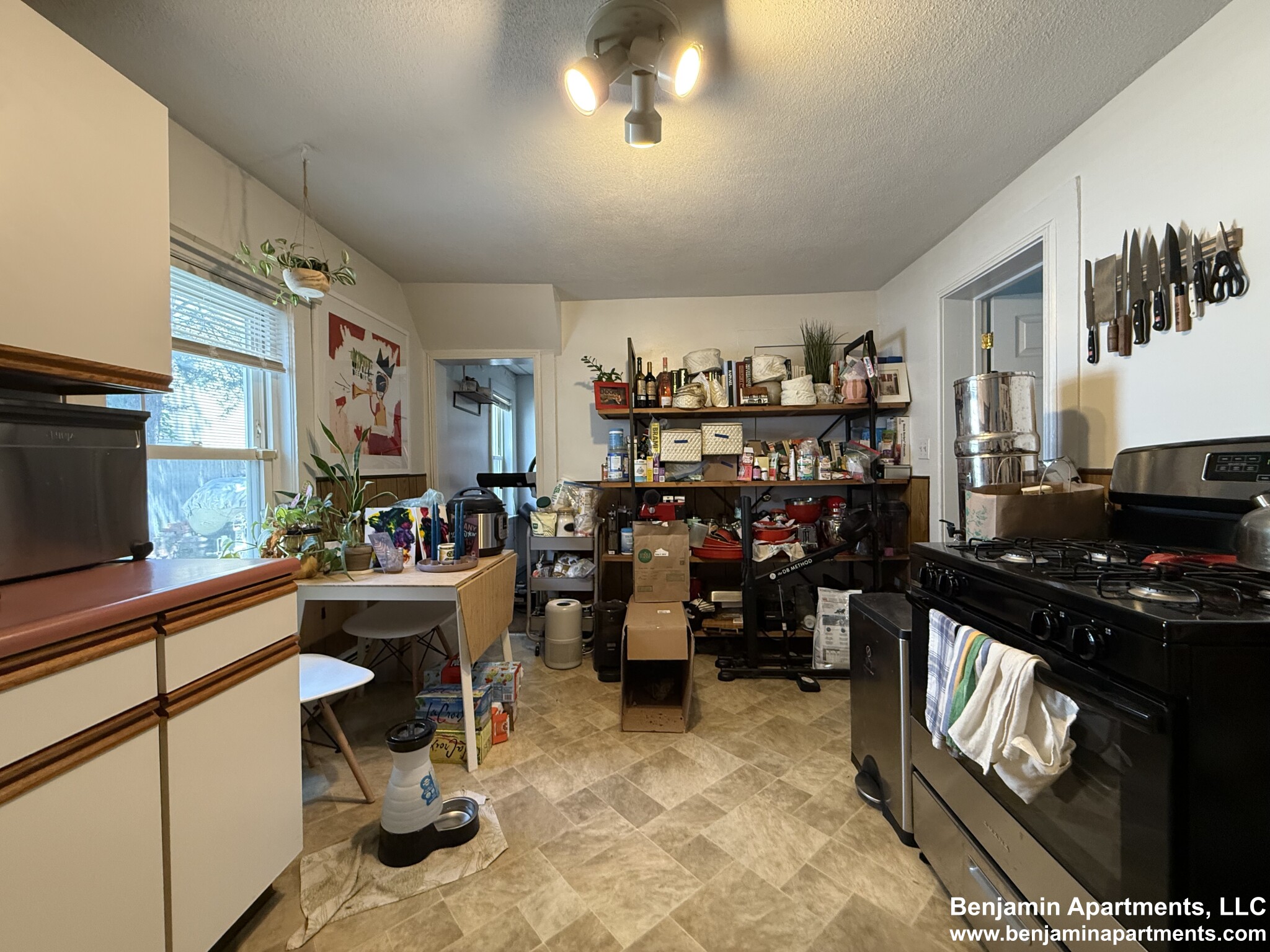 2 bed, 1 bath apartment for rent at 43 Lincoln St Unit 1, Wellington-Harrington — photo 13 of 20